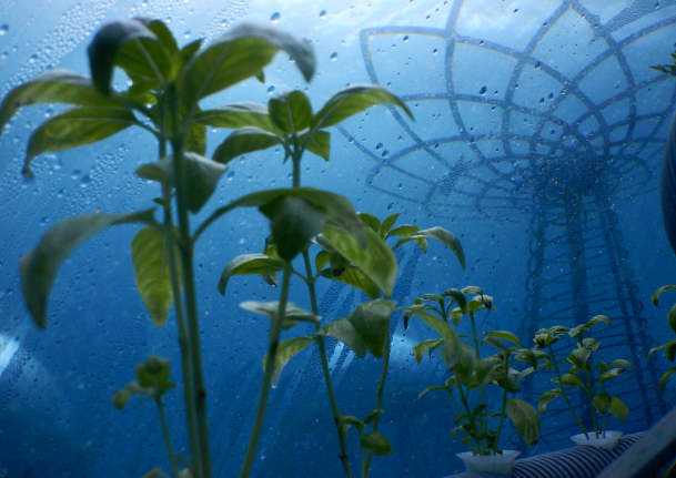UB1 in biosphere 1