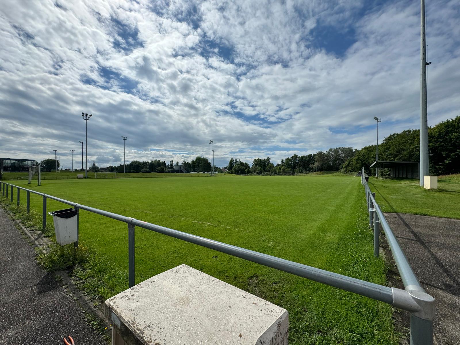 Haguenau Ent Foot